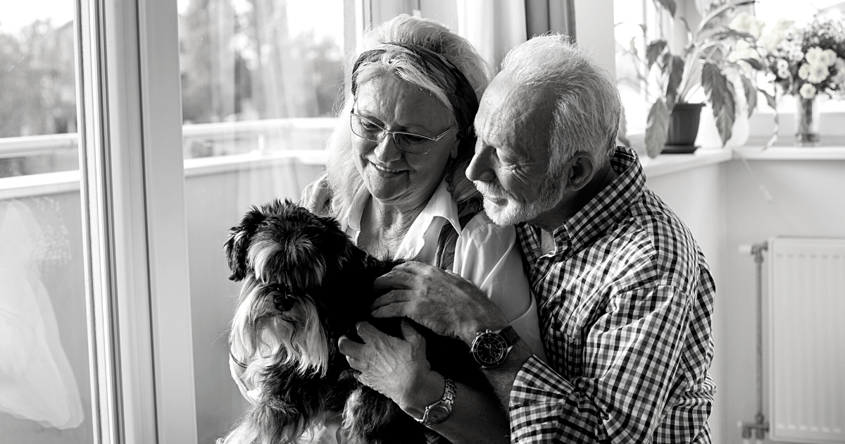 When Is It Time to Have Your Pet Put Down Dr. Jeff Werber