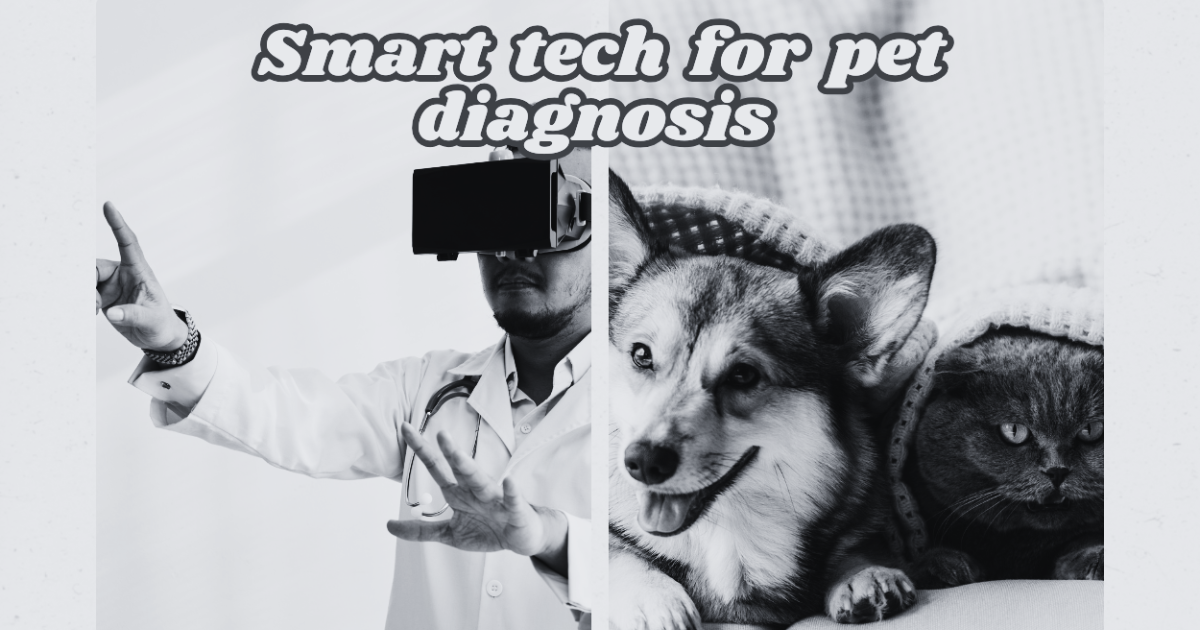 How Smart Tech Is Helping Vets Diagnose Faster