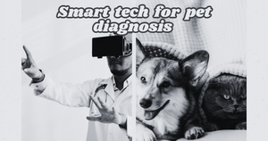 How Smart Tech Is Helping Vets Diagnose Faster
