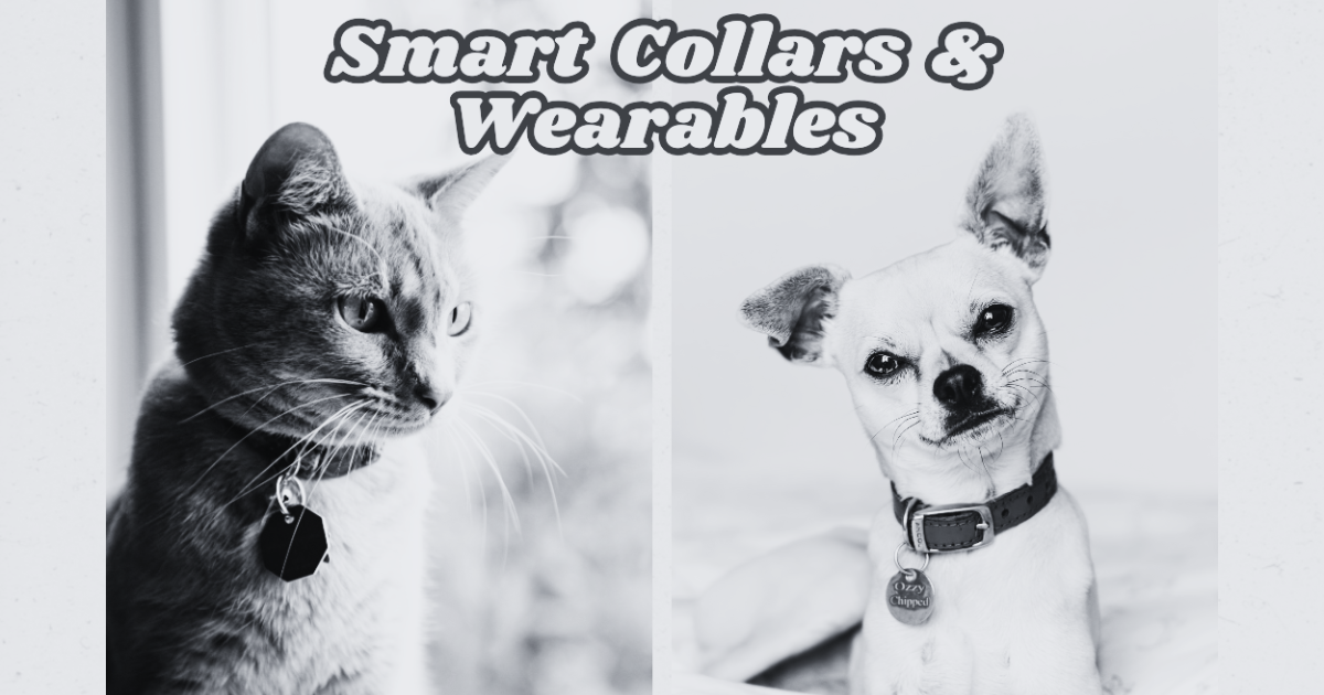 Smart Collars & Wearables: The Secret Weapon in Remote Pet Healthcare